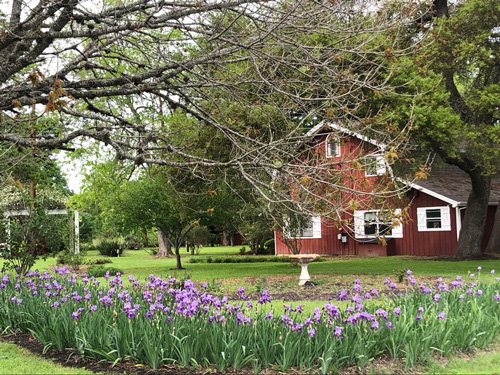 Why Location Matters: The Advantages of Living Near Downtown San Marcos