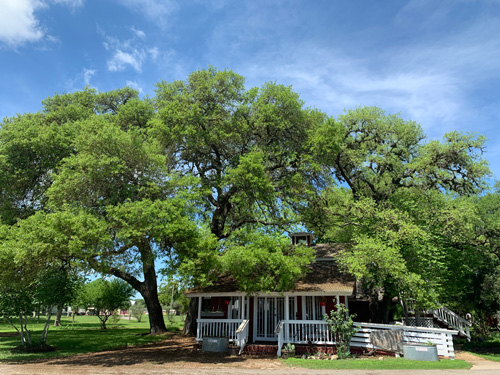 Caring Group Home for Mentally Disabled Adults near Houston, TX